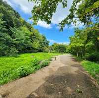 【大阪観光】雨上がりの山田池公園で夏散歩！