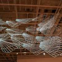 ชมศิลปะแห่งแก้วที่ Toyama Glass Art Museum กัน
