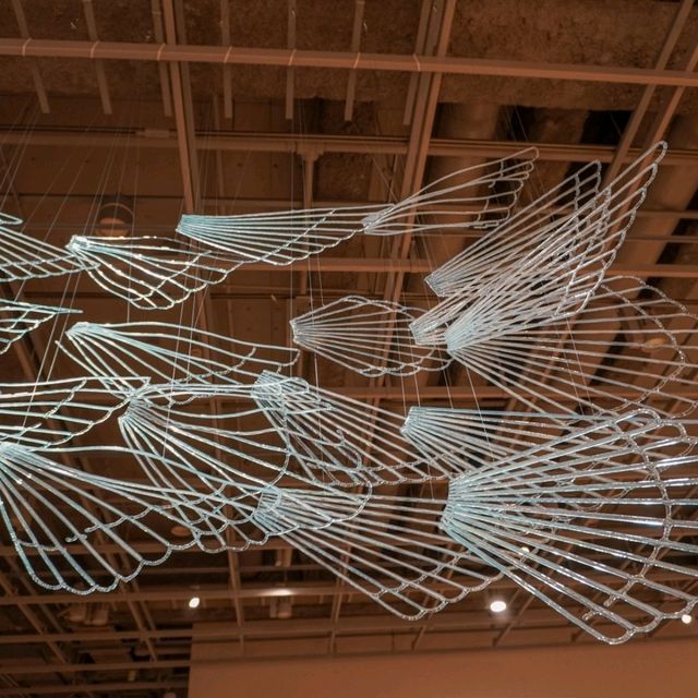 ชมศิลปะแห่งแก้วที่ Toyama Glass Art Museum กัน