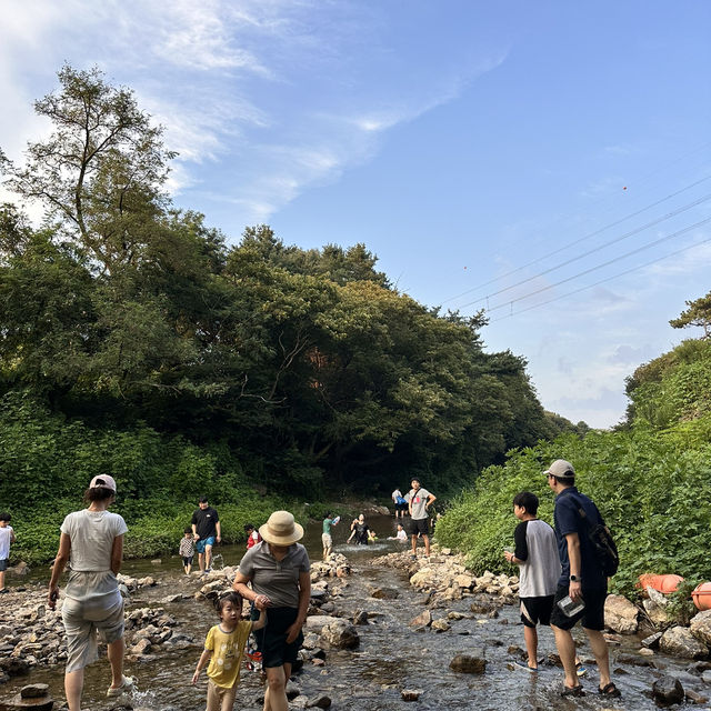 서울 근교 계곡 맛집 용인 고기리유원지💦
