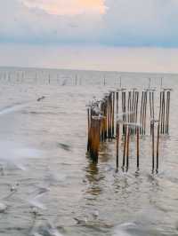 บางปูบางใจ