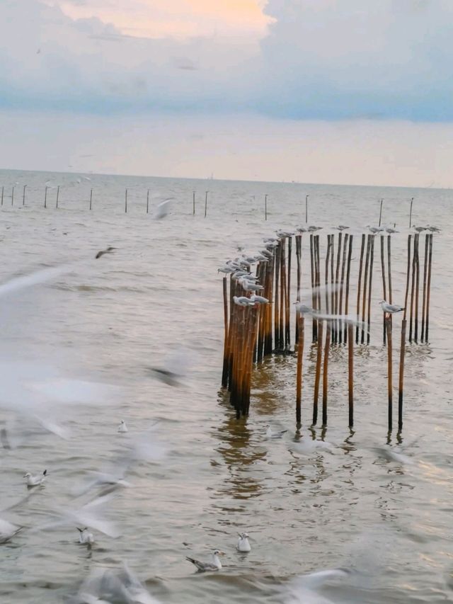 บางปูบางใจ