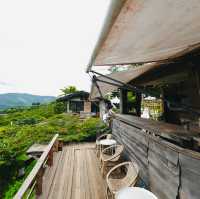 Magic Mountains Cafe #ผาช้างน้อย #พะเยา 