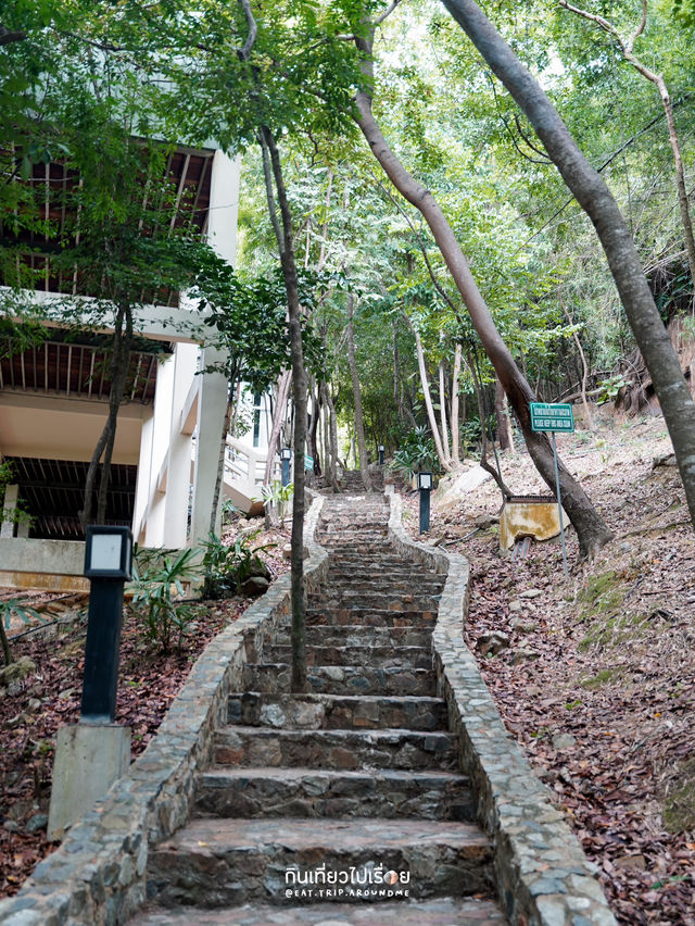 🏃🏻‍♂️‍➡️⛰️🏝️ เดินขึ้นเขาไปจุดชมวิวเกาะแสมสาร