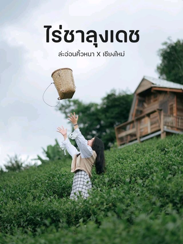 ไร่ชาลุงเดช