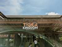 Tiger Kingdom Phuket