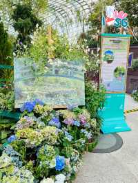 🇸🇬 Flower Dome Impressions of Monet