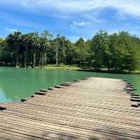 中興湖🎋城市綠洲