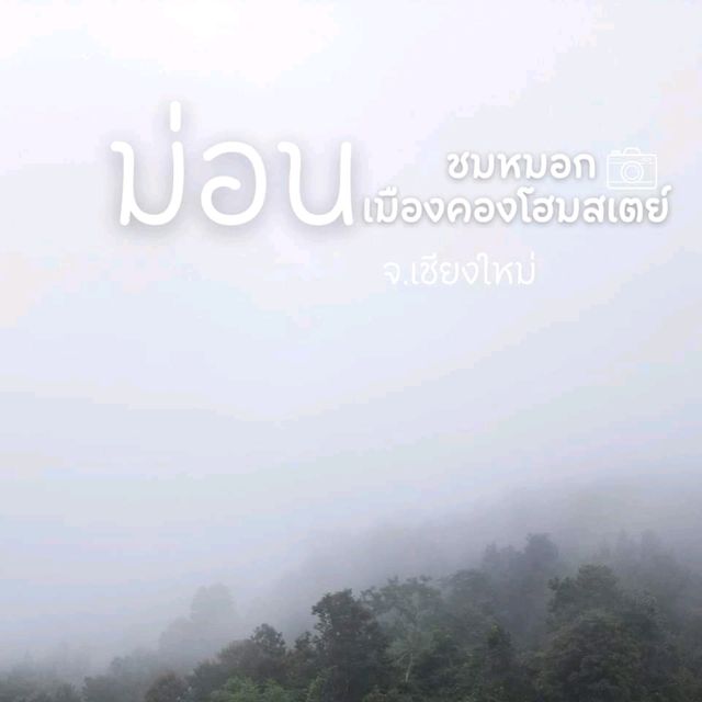 ม่อนชมหมอกเมืองคองโฮมสเตย์