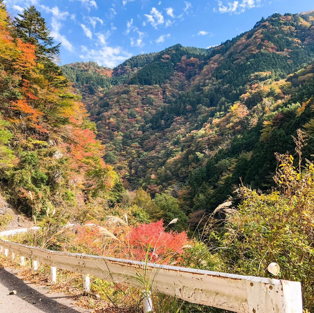 殿川內溪谷