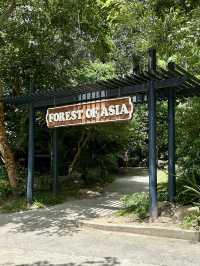 เป็นสวนสัตว์เปิด ที่เขาทั้งลูกเป็นบ้านของสัตว์จริง