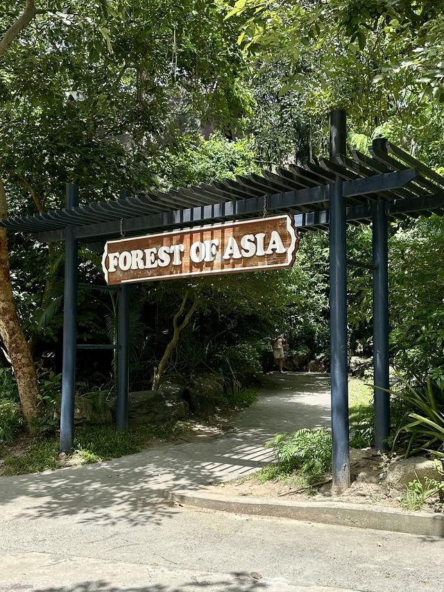เป็นสวนสัตว์เปิด ที่เขาทั้งลูกเป็นบ้านของสัตว์จริง