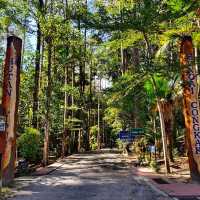 🇲🇾 Reconnect with Nature at Sungai Congkak Recreational Forest