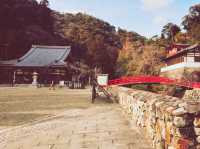 是大阪最近的國家公園