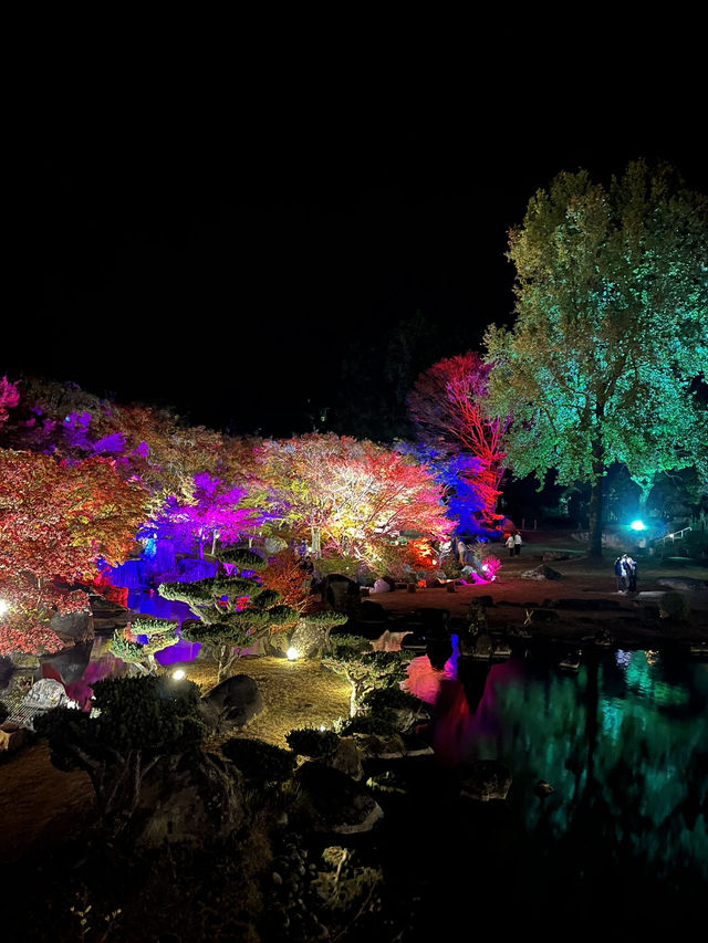 【大分観光】ライトアップされた紅葉を楽しめる日本庭園🍁✨️
