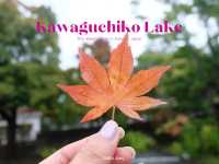 Kawaguchiko Lake เที่ยวทะเลสาปฤดูใบไม้ผลิ 🍁