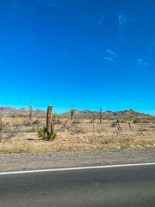 🥵 Lesson Learnt: Dont go Lost Dutchman State Park during summer