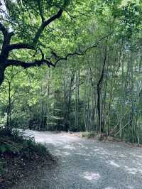 【滋賀/大津】叶匠寿庵が手がける菓子づくりの里山