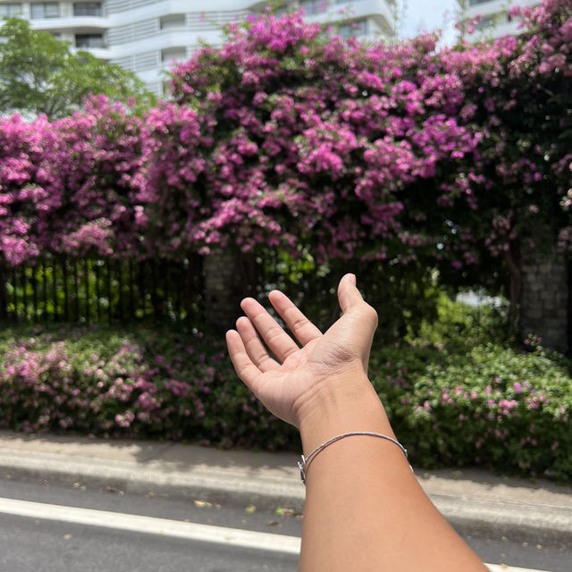 จุดชมวิวพัทยา