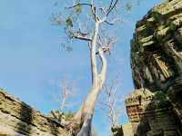 Angkor Wat -  the heart and soul of Cambodia