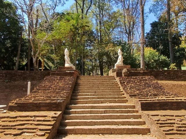 清邁烏懞寺:泰國最神秘的森林隧道寺廟