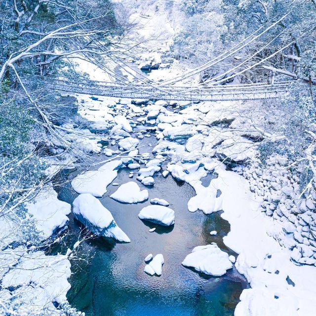 大步危・祖谷