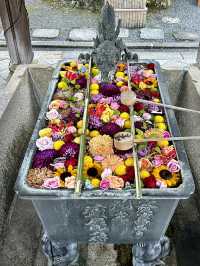 【京都紅葉】とても綺麗な花手水がたくさんあるお寺！