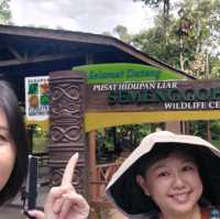 Sarawak Semanggoh Wildlife Centre 