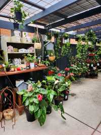🇦🇺 Unique Garden-Themed Cafe on Beerburrum, QLD, Australia
