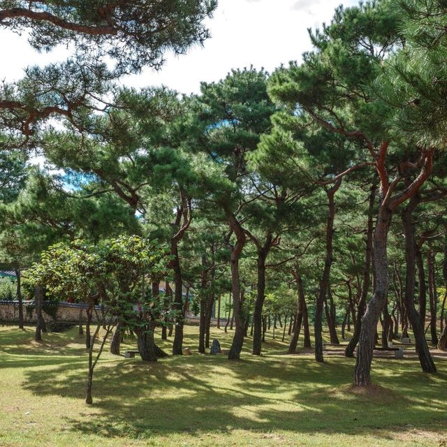 가을에 걸으면 더 좋은