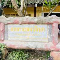 น้ำพุธรรมชาติบ้านท่าช้าง 