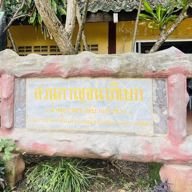 น้ำพุธรรมชาติบ้านท่าช้าง 