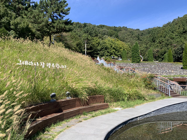 사랑이 피어나는 곳, 배실웨딩공원