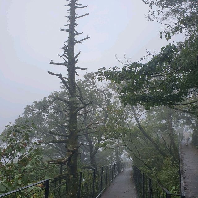 평창. 진부의 발왕산, 오대산 월정사 여행