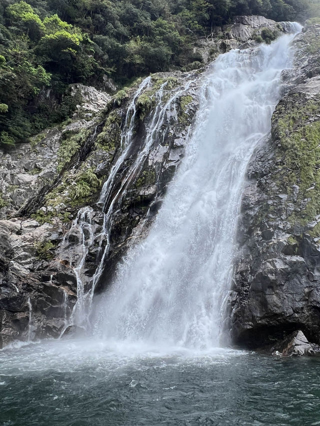 屋久島 ❤︎ ベストシーズン到来❣️世界自然遺産の絶景✨
