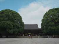 【東京観光】東京の都会に広がる癒しの森！明治神宮を御参拝⛩️