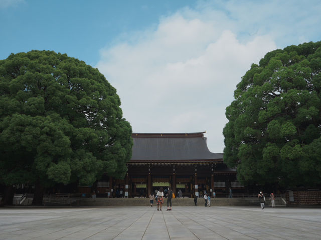 【東京観光】東京の都会に広がる癒しの森！明治神宮を御参拝⛩️