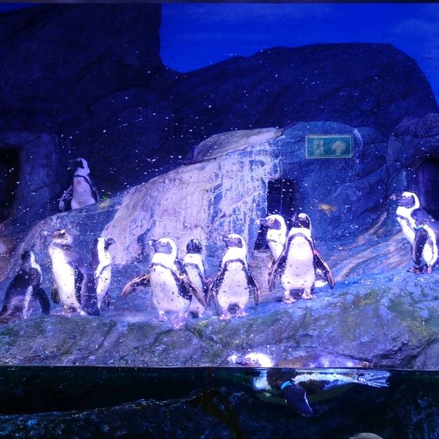 Sea Life Bangkok Ocean World