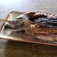 【福井】越前大野からトゥクトゥクで恐竜博へ