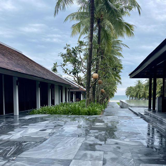 Zen Vibes Everywhere 🧘👌