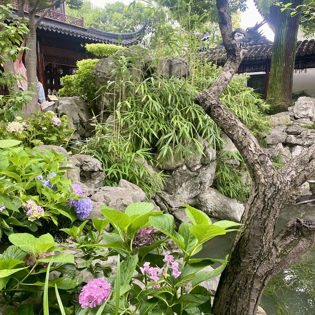 Yu garden - ancient beauty