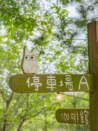 【台湾】最強にかわいいジブリカフェみつけた🌿🤍店全体がジブリの世界🔆 　