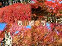 吞山觀音寺-紅葉融入觀音寺內，構成一幅美麗的畫卷