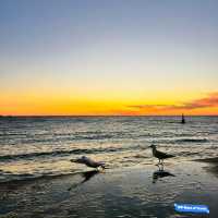 Golden Hour Bliss: Cottesloe's Breathtaking Sunset