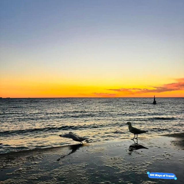 Golden Hour Bliss: Cottesloe's Breathtaking Sunset