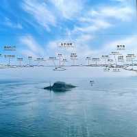 【絶景】ダイナミックな渦潮を楽しもう！鳴門海峡