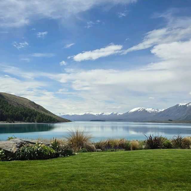 紐西蘭南島Lake Tekapo ～好美