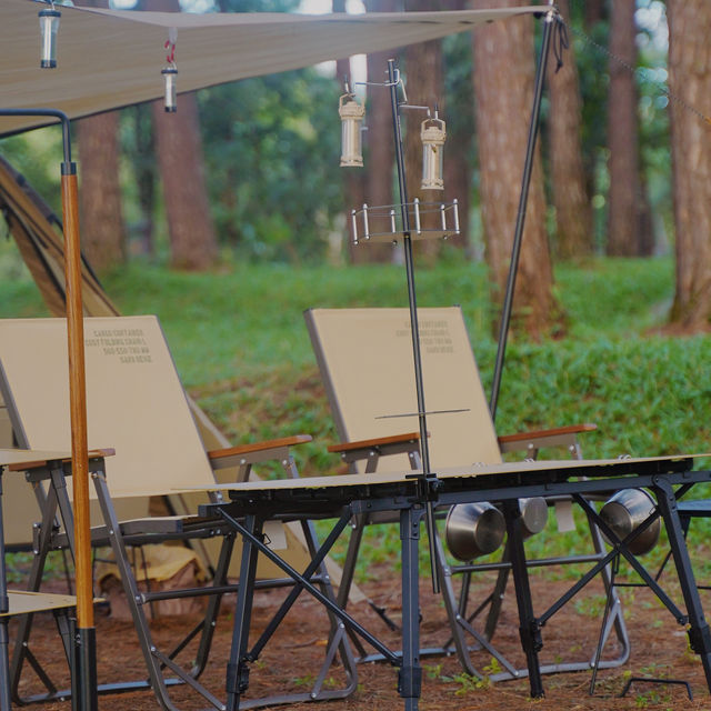 ภูหินร่องกล้า - ลานกางเต็นท์กลางป่าสน