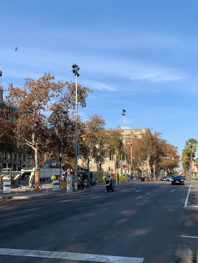 💚Beautiful Port Vell in BCN🇪🇸