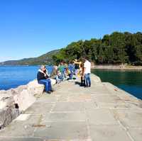 Miramare castle park is beautiful 